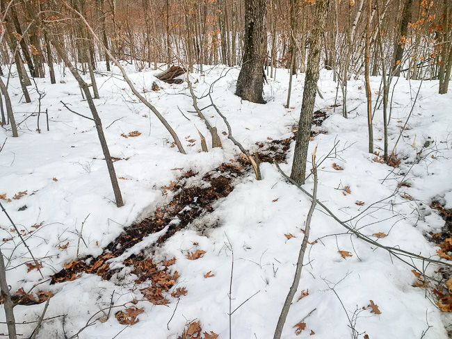 Finch Brook Preserve - Trail Report for March 2014 - Photo B